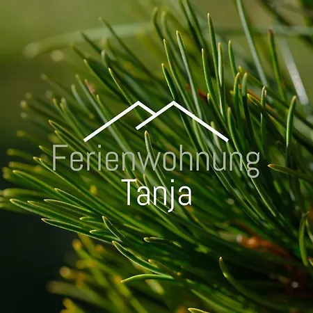 Apartment Tanja Inklusive Sommercard Jerzens